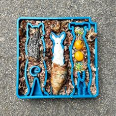 a blue tray filled with food on top of cement floor next to oranges and an egg