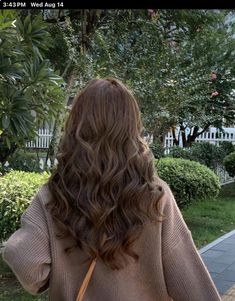 Brown Wavy Hair, Brown Hair Looks, Thick Wavy Hair, Brown Hair Inspo, Haircuts Straight Hair, Frizz Control, Permed Hairstyles, Long Wavy Hair