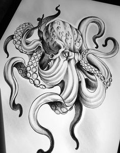 an octopus drawing on paper with ink