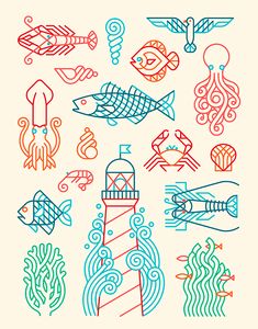 an illustration of different types of fish and sea creatures on a white background with blue, red