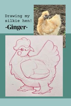 a drawing of a chicken with the caption'drawing my sike hen '