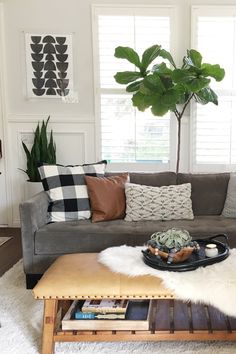 a living room with a couch, coffee table and potted plant in the corner