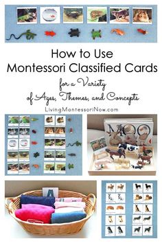 how to use montessoi classified cards for a variety of activities and crafts