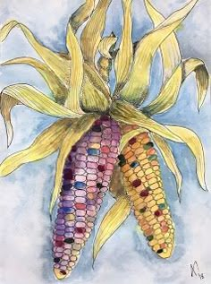 two corn on the cob painted with colored pencils