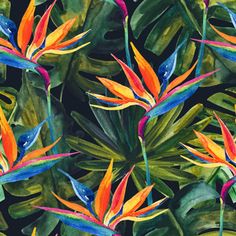 colorful tropical flowers and leaves painted in watercolor on black background, seamless wallpaper