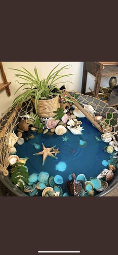 a bowl filled with shells and plants on top of a table