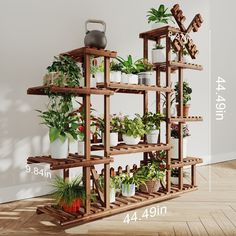 a wooden shelf filled with potted plants on top of a hard wood floor next to a white wall