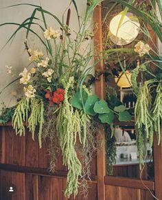 flowers and plants are hanging from the side of a wall in front of a mirror