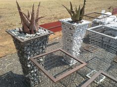 three metal containers with plants and rocks in them