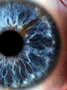 the iris of an eye is shown in this image