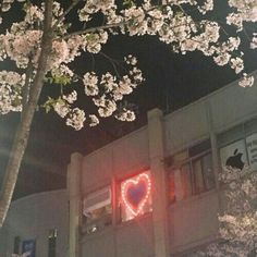 a heart shaped sign is lit up on the side of a building with cherry blossom trees