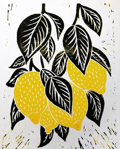 a drawing of lemons on a white background