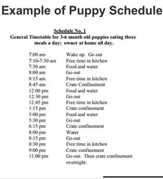 an example of puppy schedule is shown