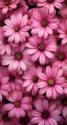 many pink flowers are arranged together in this photo