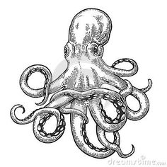 an octopus drawing in black and white