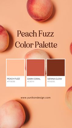 Pantone Color of the Year 2024: PANTONE 13-1023 Peach Fuzz Peach Complementary Colors, Peach Pantone 2024, Peaches Color Palette, Color Of Year 2024, Pantone Color 2024 Peach Fuzz, Wedding Color Peach, 2024 Color Of The Year Pantone, Ginger Color Palette, Pantone Colors 2024