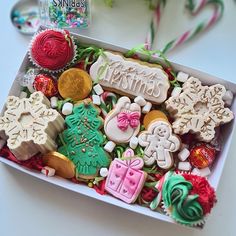 an assortment of decorated christmas cookies in a white box on a table next to some candy