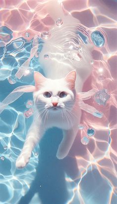 a white cat in the water with bubbles around it's neck and eyes, looking up at the camera