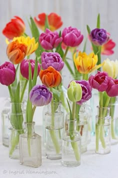 colorful tulips are in small glass vases on a white tableclothed surface