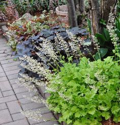 a garden filled with lots of green plants and flowers next to a brick walkway surrounded by trees