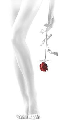 a woman's bare legs and foot with a rose in the foreground, on a white background