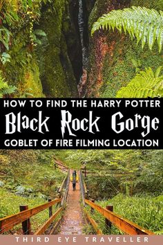 the cover of harry potter's black rock gorge