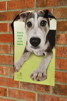 a dog's head is taped to the side of a brick wall with a sign on it