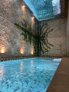 an indoor swimming pool with plants growing on the wall and water running down it's sides