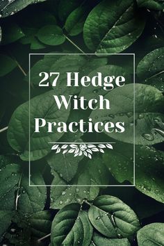 green leaves with the words 27 hedge witch practices