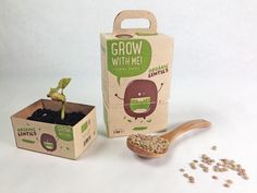 a small plant in a cardboard box next to a wooden spoon with seeds on it