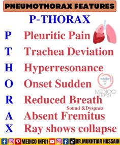 Medico Info1 Veterinary Notes, Medical Study, Medical Mnemonics, Medical Notes, Medical Nursing, Bells Palsy