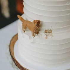 a dog figurine on top of a white cake