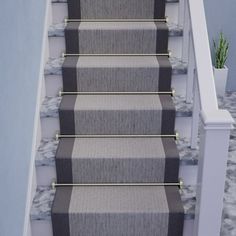 a carpeted staircase leading up to a potted plant