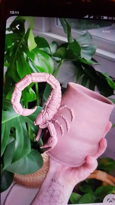 a hand holding a pink vase next to a potted plant with a snake on it