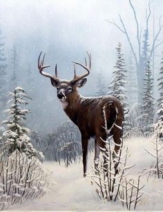 a painting of a deer standing in the middle of a snow covered forest with trees