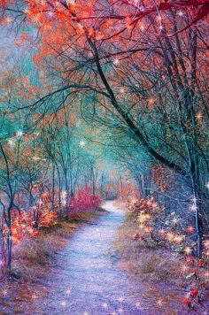 a painting of a path in the woods with trees and flowers on both sides, surrounded by stars