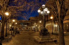 an empty city street at night with lights on and trees in the foreground that are bare