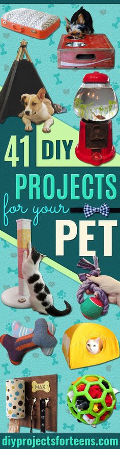 an image of the cover of a book about projects for your pet