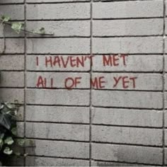 graffiti on the side of a brick wall that says i haven't met all of me yet