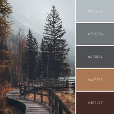 an image of a wooden walkway in the woods with color swatches for each section