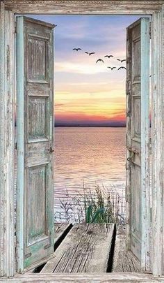 an open door leading to the ocean with birds flying in the sky over it and water