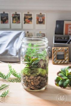 a jar filled with plants and rocks on top of a wooden table next to a planter