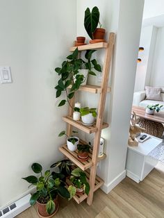 a wooden shelf filled with potted plants next to a white wall