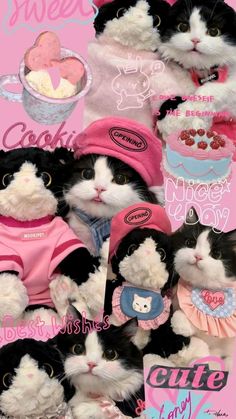 two black and white kittens wearing pink shirts with cupcakes in the background