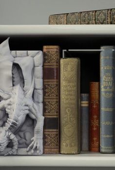 some books are sitting on a shelf next to each other and there is a photo of a dragon in the middle