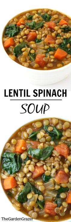 lentil spinach soup with carrots and spinach