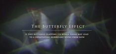 the butterfly effect is shown in this screenshot from an advertiser's website