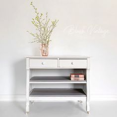 a white table with two drawers and a plant on top