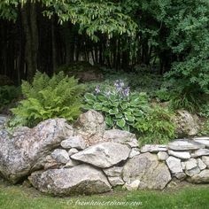 a rock wall with plants and rocks in the foreground, surrounded by green trees