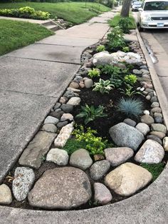 there is a rock garden in the middle of the sidewalk and cars are parked on the side walk